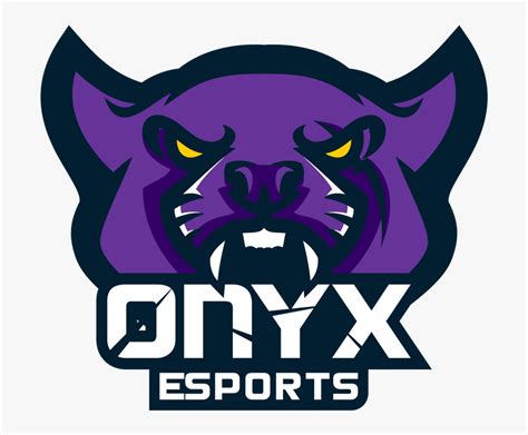 Onyx Esports Team .